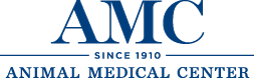www.amcny.org